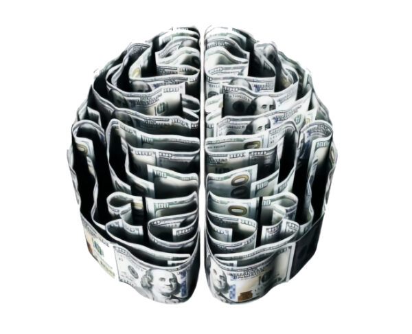 特徴３.右脳と左脳に対する刺激で頭がよくなる